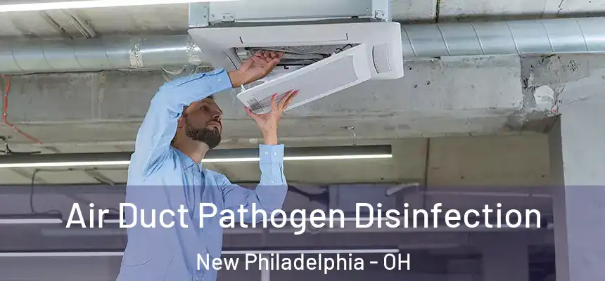 Air Duct Pathogen Disinfection New Philadelphia - OH