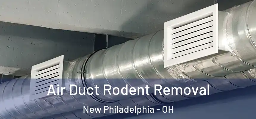 Air Duct Rodent Removal New Philadelphia - OH