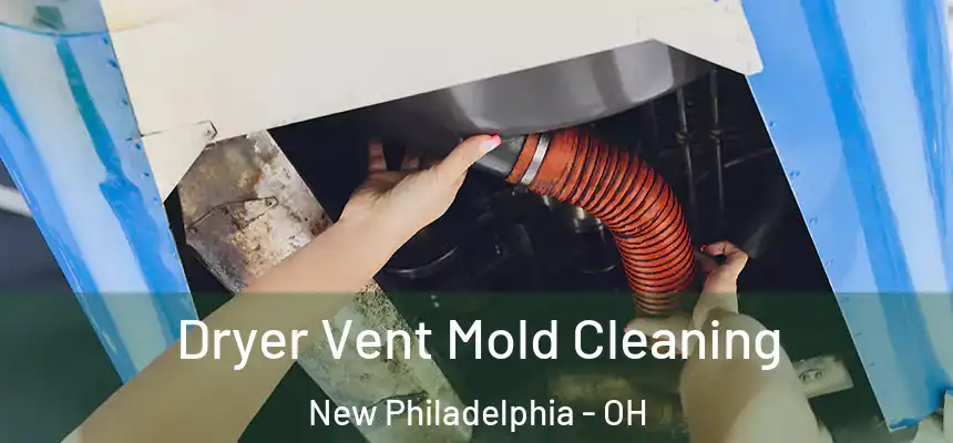  Dryer Vent Mold Cleaning New Philadelphia - OH