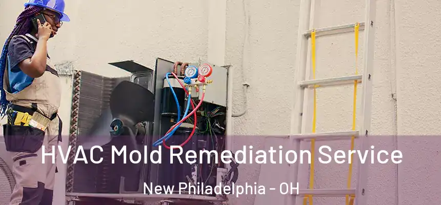  HVAC Mold Remediation Service New Philadelphia - OH