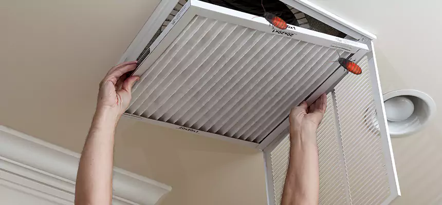 Preventive Cockroach-Proofing for Ducts in New Philadelphia