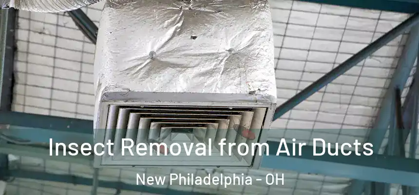 Insect Removal from Air Ducts New Philadelphia - OH