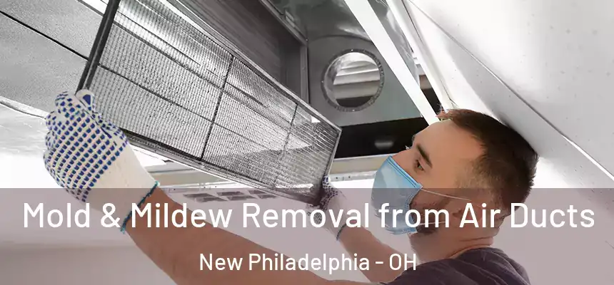 Mold & Mildew Removal from Air Ducts New Philadelphia - OH