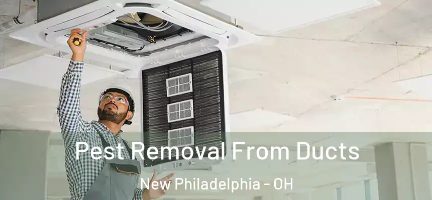 Pest Removal From Ducts New Philadelphia - OH