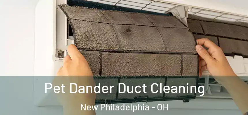 Pet Dander Duct Cleaning New Philadelphia - OH