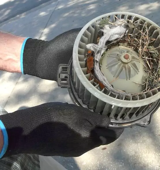 About Air Duct Mice Removal in New Philadelphia, OH