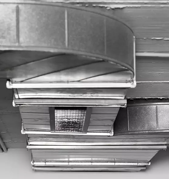 Professional Air Duct Pest Removal in New Philadelphia, OH