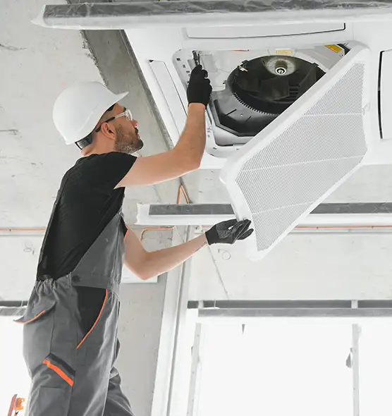 About Air Duct Rodent Removal in New Philadelphia, OH