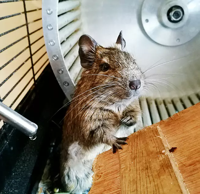 Why Homeowners & Businesses Trust Us New Philadelphia, OH?